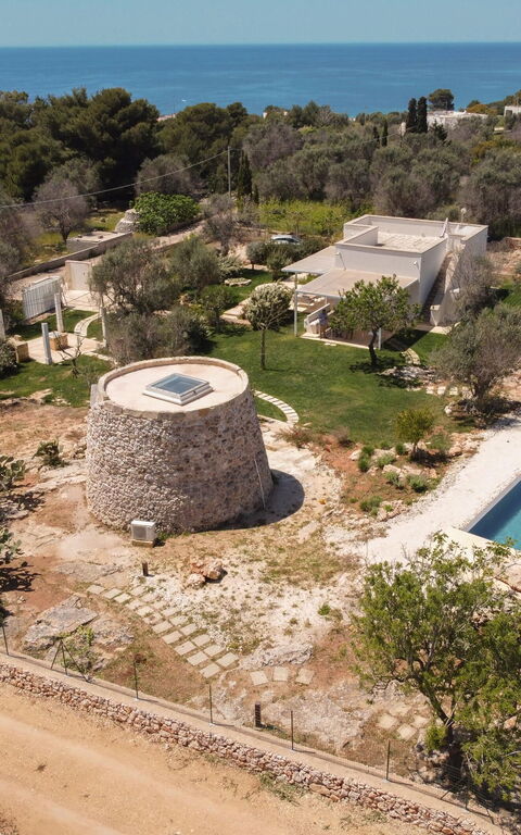 Villa Platino: Exteriör, slå samman, Trädgård, Utomhus, Visningar