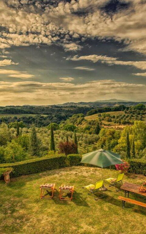 Leccino: Exteriör, Trädgård, Utomhus, Visningar