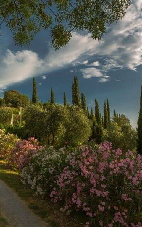 Leccino: Exteriör, Trädgård, Utomhus, Visningar