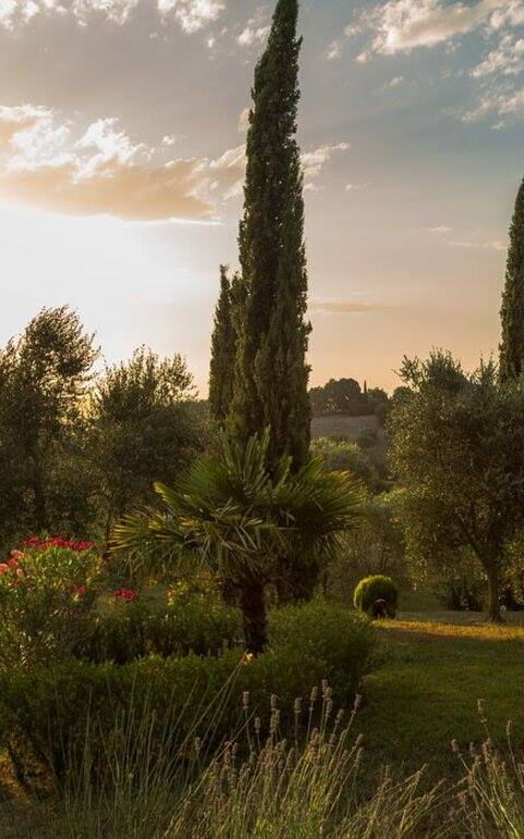 Leccino: Exteriör, Utomhus, Visningar