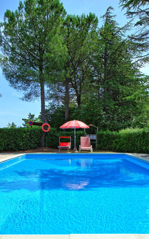 Leccino: slå samman, Trädgård, Utomhus