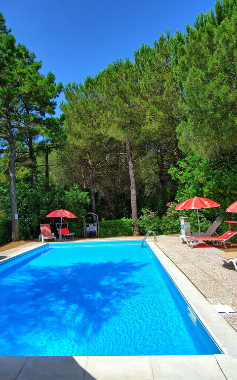 Leccino: slå samman, Trädgård, Utomhus