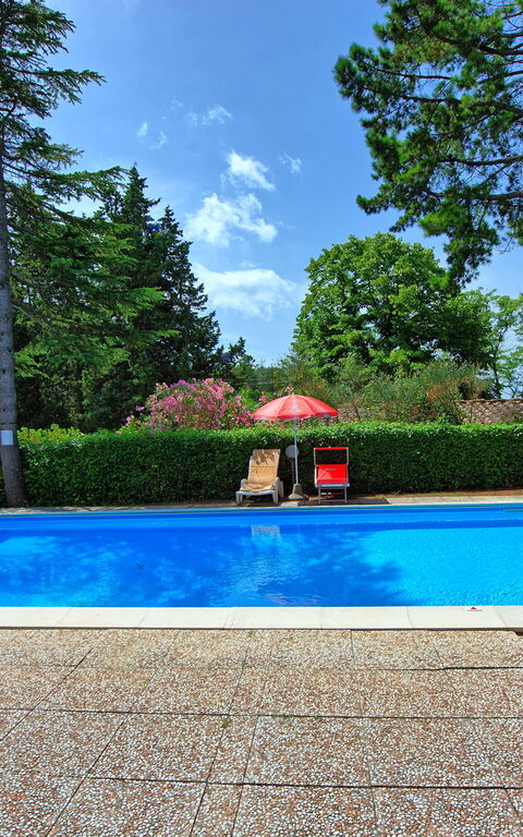 Leccino: slå samman, Trädgård, Utomhus