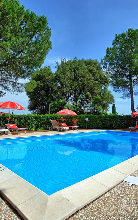 Leccino: slå samman, Trädgård, Utomhus