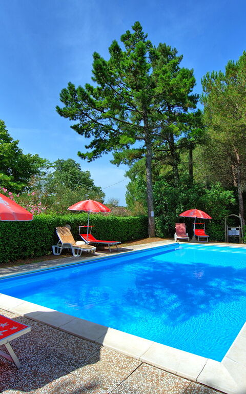 Leccino: slå samman, Trädgård, Utomhus