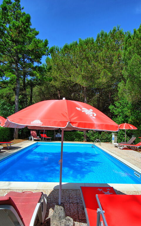 Leccino: slå samman, Trädgård, Utomhus