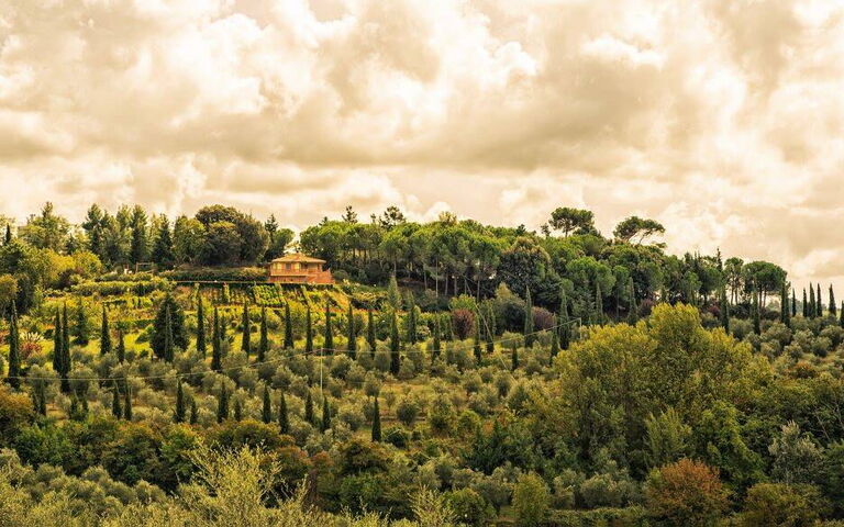 Leccino: Exteriör, Utomhus, Visningar