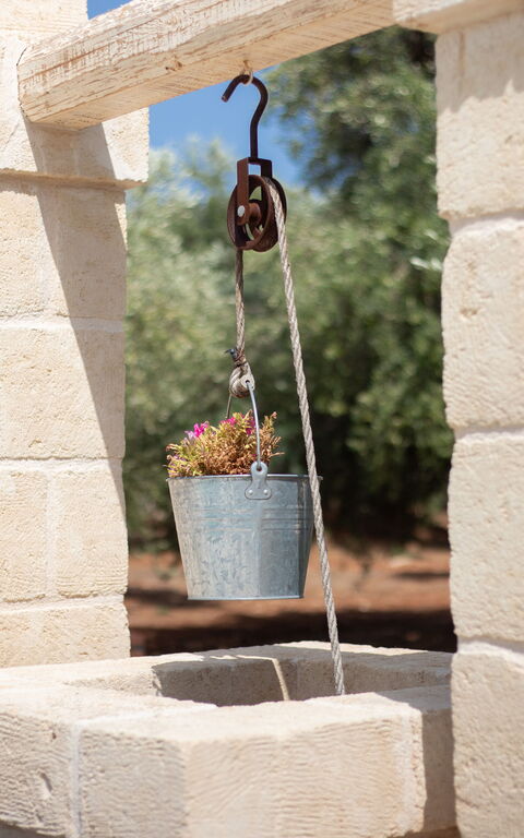 Terra Mater: Exteriör, Utomhus