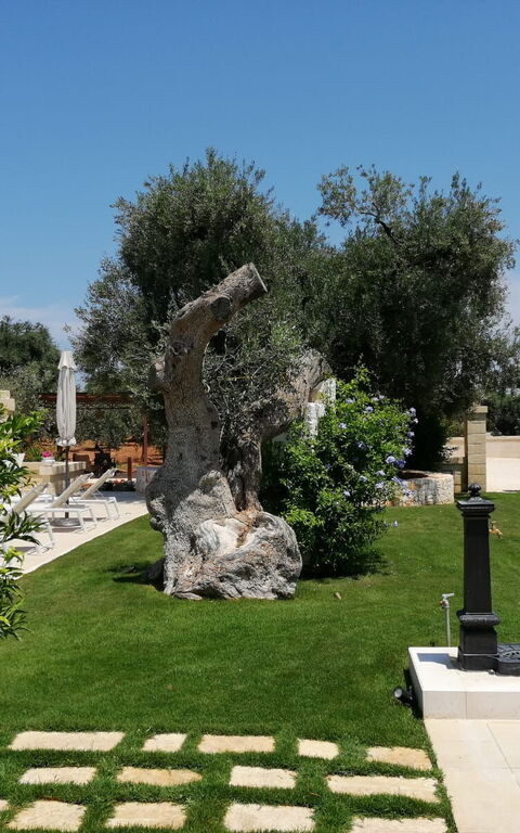 Terra Mater: Exteriör, Trädgård, Utomhus