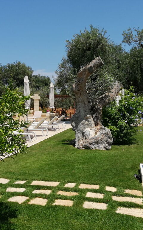 Terra Mater: Exteriör, Trädgård, Utomhus