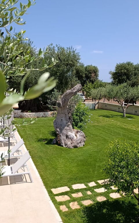 Terra Mater: Exteriör, slå samman, Trädgård, Utomhus