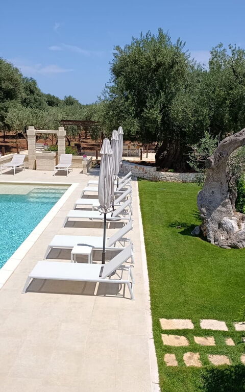 Terra Mater: Exteriör, slå samman, Trädgård, Utomhus