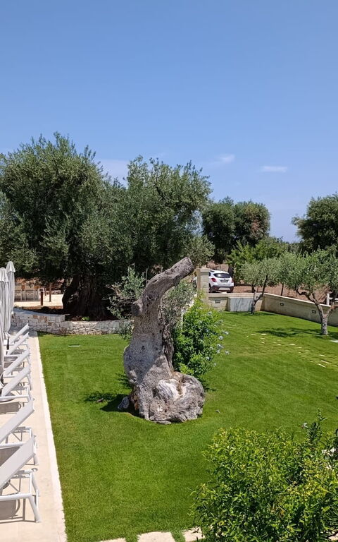 Terra Mater: Exteriör, slå samman, Trädgård, Utomhus