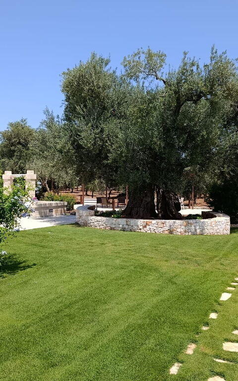 Terra Mater: Exteriör, Trädgård, Utomhus