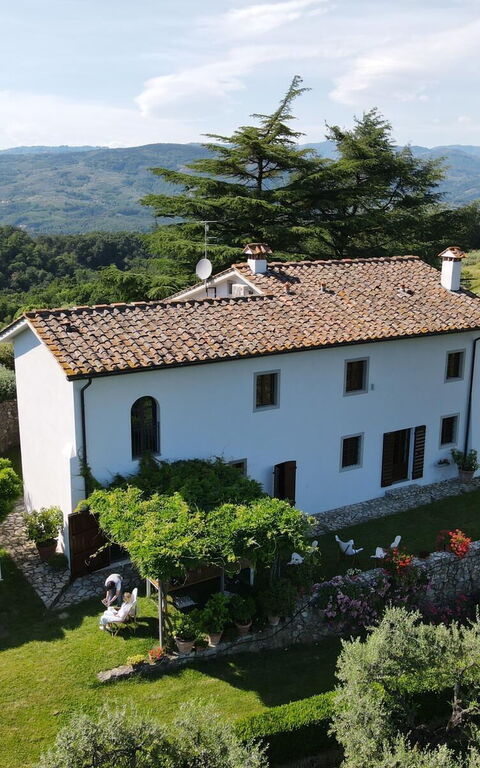 Villa Mami: Exteriör, Trädgård, Utomhus, Visningar