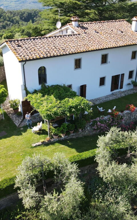 Villa Mami: Exteriör, Trädgård, Utomhus, Visningar