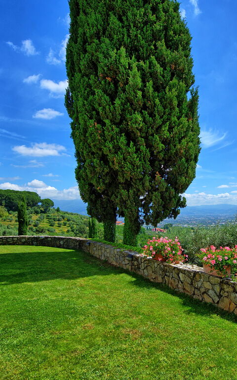 Villa Mami: Exteriör, Trädgård, Utomhus, Visningar