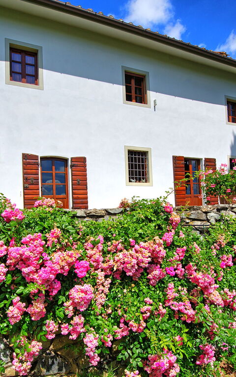 Villa Mami: Exteriör, Trädgård, Utomhus