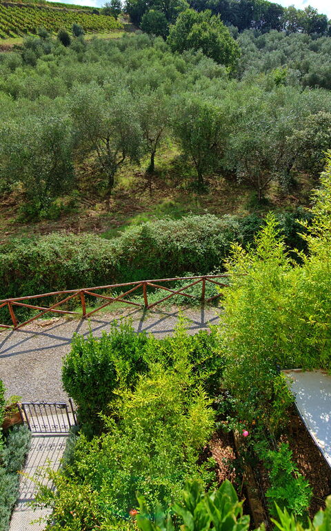 Casa Minuccia: Exteriör, Utomhus