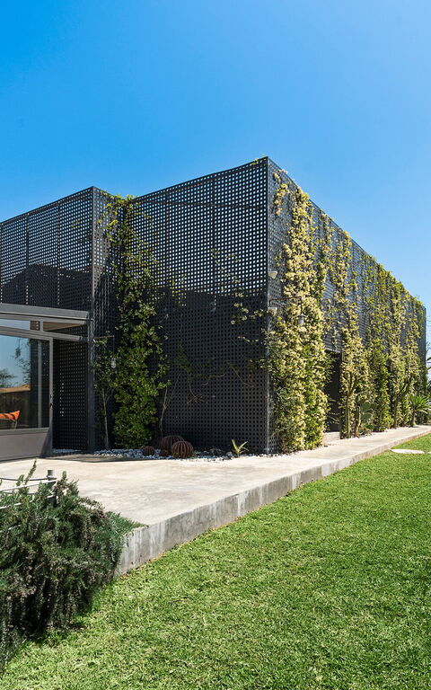 Villa Agnese: Exteriör, Trädgård, Utomhus