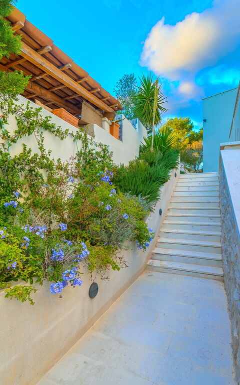 Villa Pine Haven: Exteriör, Utomhus