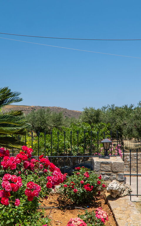 Villa Aetheria: Exteriör, Utomhus