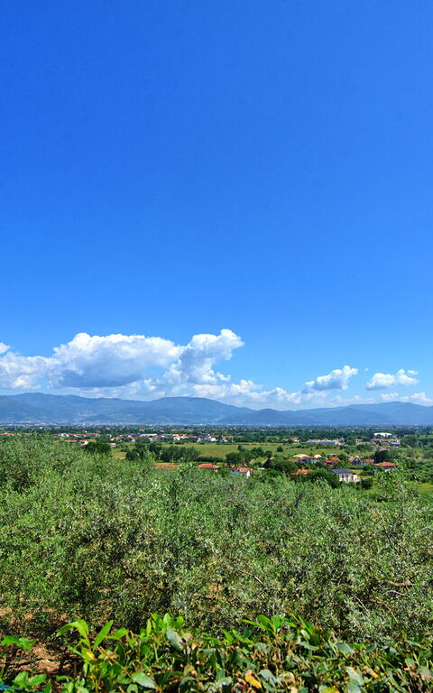 Villa Marusca: Exteriör, Utomhus
