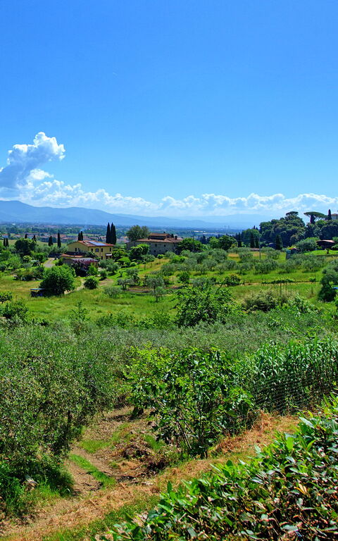 Villa Marusca: Exteriör, Utomhus, Visningar