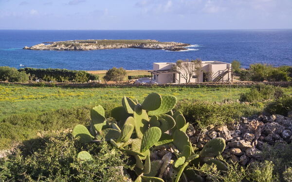 Tenuta Stornello: Exteriör, Trädgård, Utomhus, Visningar