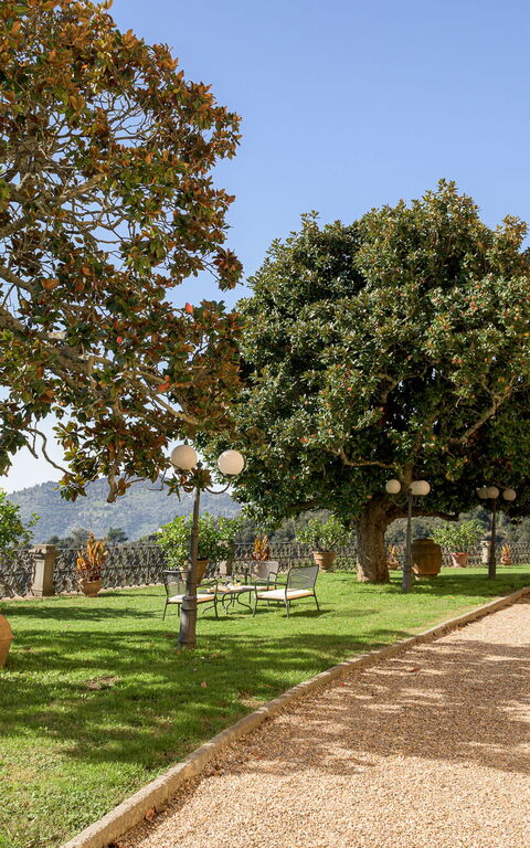 Villa Laparelli Pitti: Exteriör, Trädgård, Utomhus