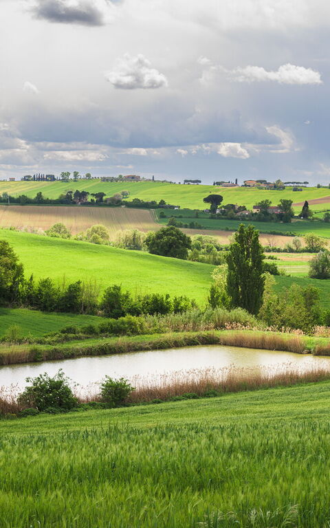 Villa la Contea: Exteriör, Trädgård, Utomhus, Visningar