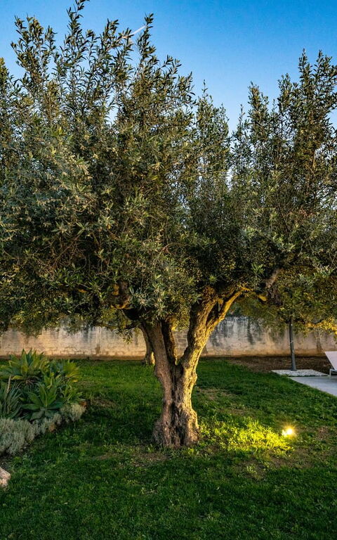 Villa Virginia: Exteriör, Trädgård, Utomhus