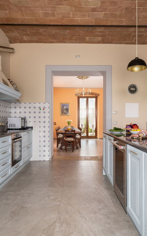 Tenuta Macericca: Kök