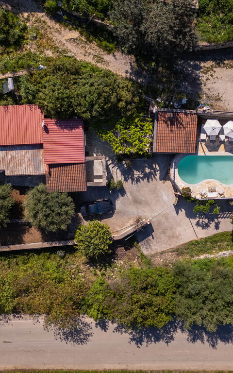 Villa Nikolas: slå samman, Visningar