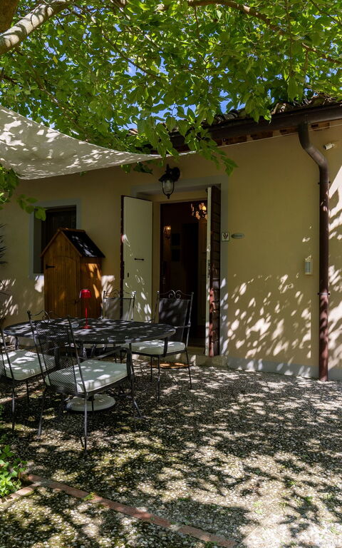 Villanova Lonciano - 2026: Exteriör, Trädgård, Utomhus