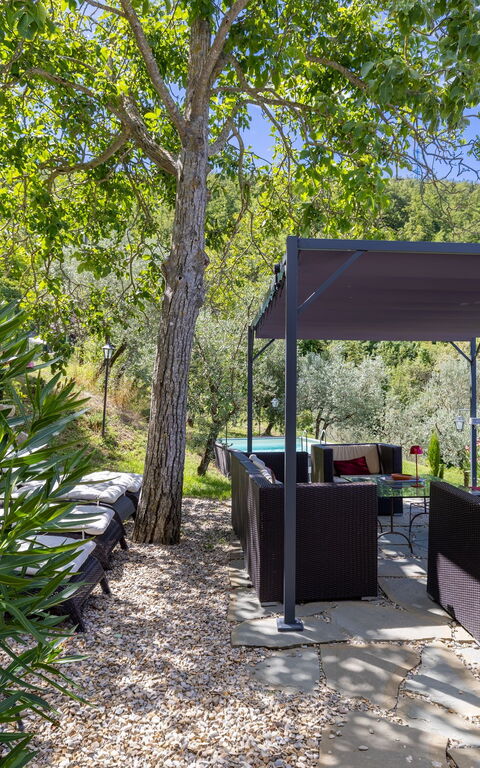 Villanova Lonciano - 2026: Exteriör, Utomhus