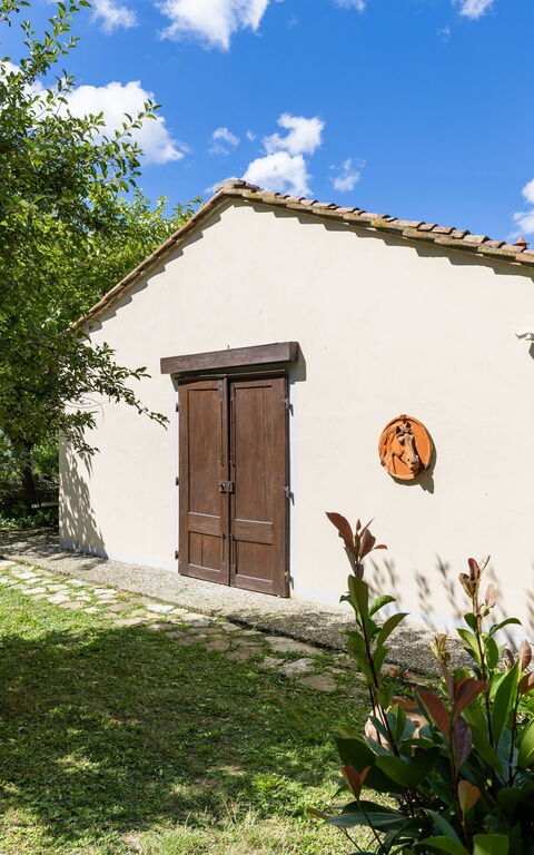 Villanova Lonciano - 2026: Exteriör, Trädgård, Utomhus