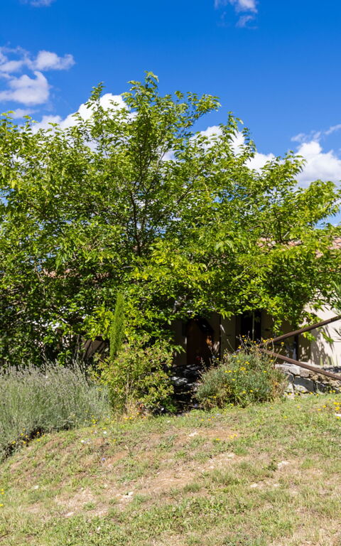 Villanova Lonciano - 2026: Exteriör, Trädgård, Utomhus