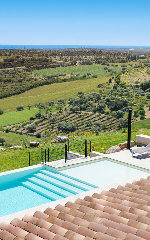 Netina Domus: slå samman, Trädgård, Utomhus, Visningar