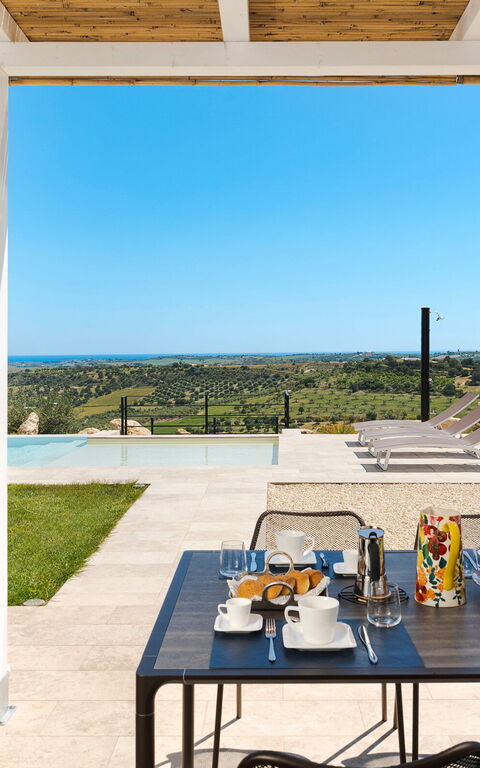 Netina Domus: Trädgård, Utomhus, Visningar