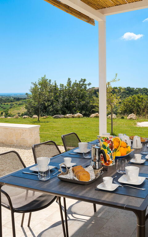 Netina Domus: Utomhus, Visningar