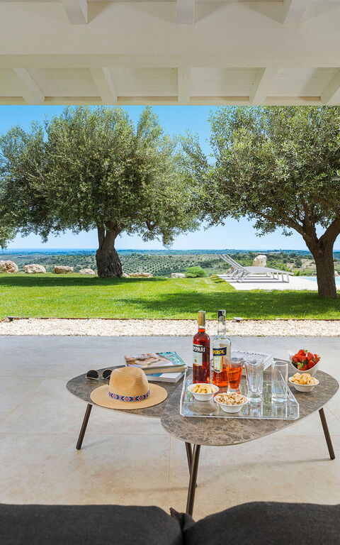 Netina Domus: Utomhus, Visningar