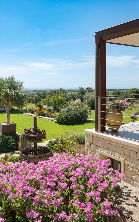 Corte Antigua: Balkong / terrass / uteplats, Exteriör, slå samman, Trädgård, Utomhus