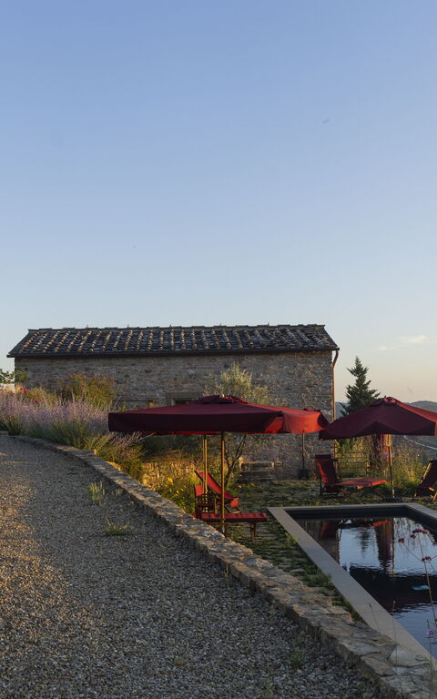 Villa Tenuta Casenuove: Exteriör, slå samman, Trädgård, Utomhus, Visningar