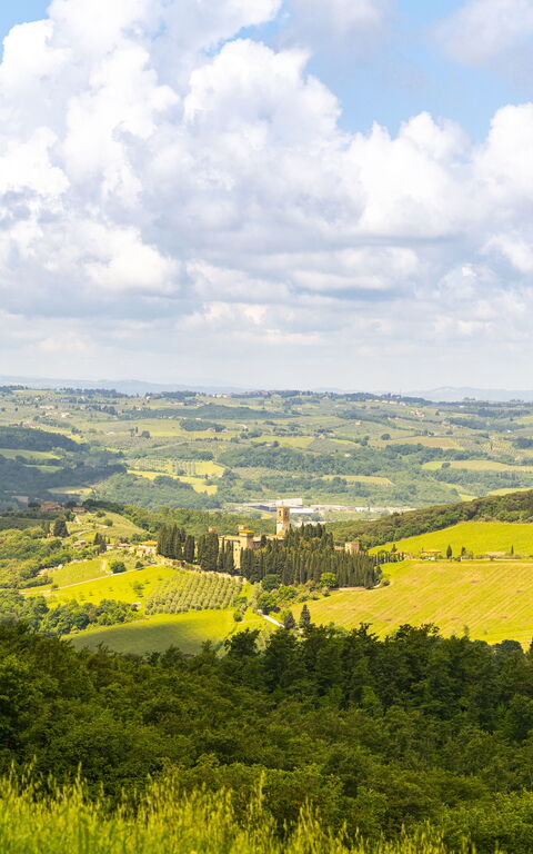 Villa Tenuta Casenuove: Visningar