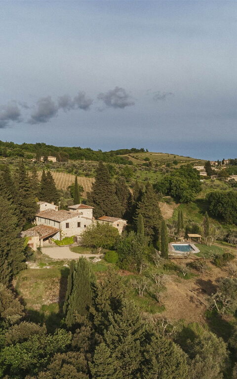 Podere Lupinati: Visningar