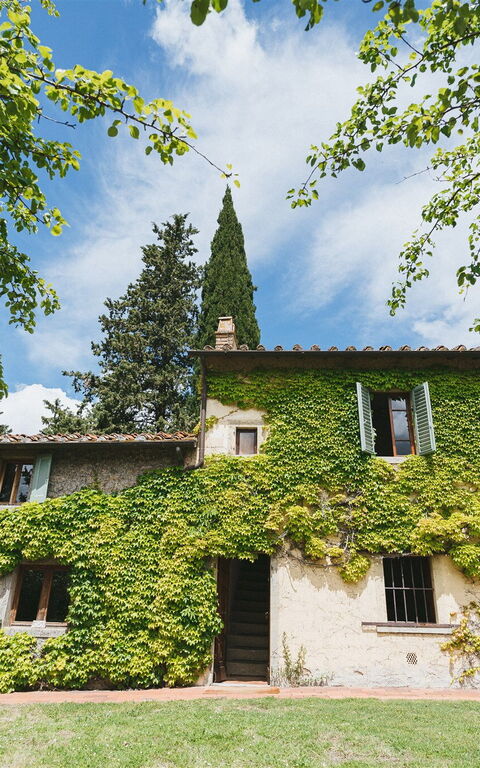 Podere Lupinati: Exteriör, Utomhus