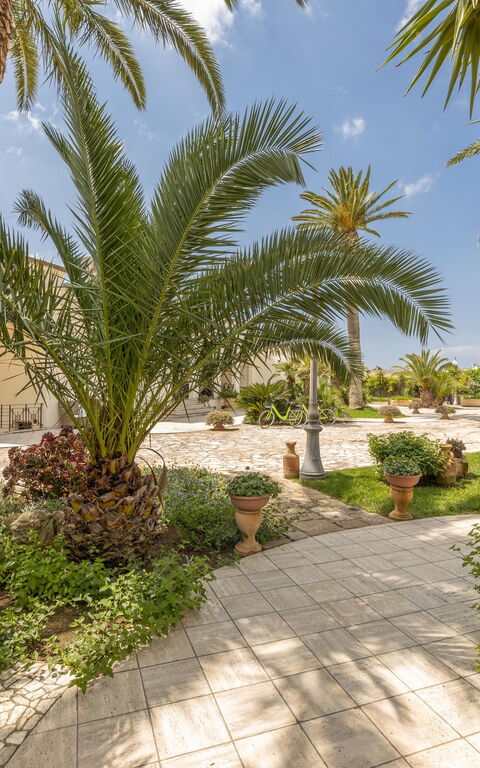 Villa Oasi Di Pace: Exteriör, Utomhus