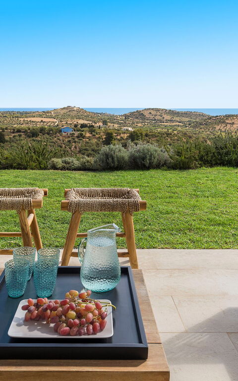 Villa Petite Afrique: Exteriör, Trädgård, Utomhus