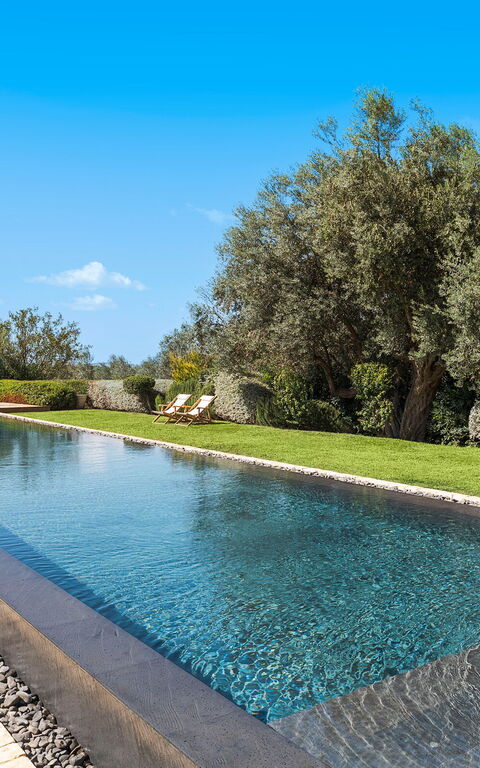 Domus Olivae: Exteriör, slå samman, Trädgård, Utomhus